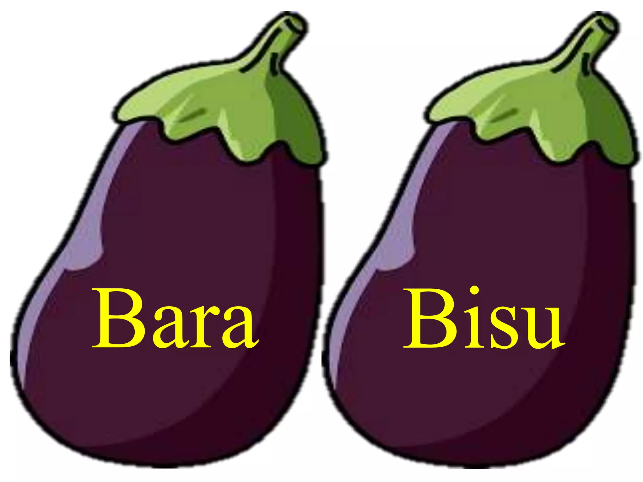 Bara Bisu
 
