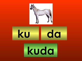 ku da kuda 