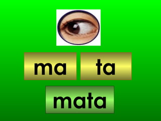 ma ta mata 