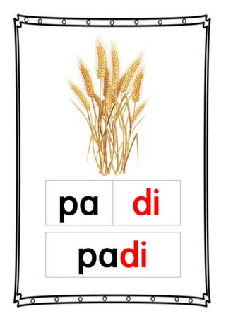 pa di
padi
 