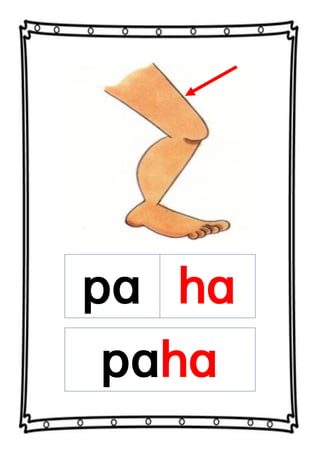 pa ha
paha
 