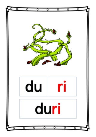du ri
duri
 