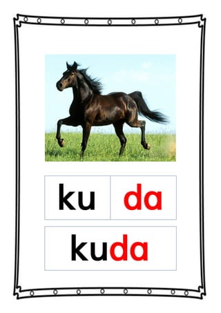 ku da
kuda
 