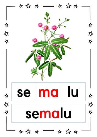 se ma lu
semalu

 