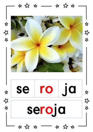se ro ja
seroja

 