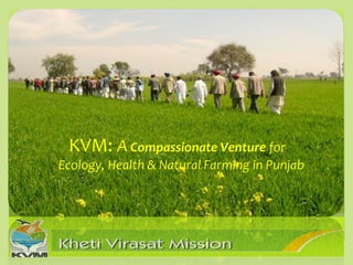KVM: A Compassionate Venture for

Ecology, Health & Natural Farming in Punjab

 