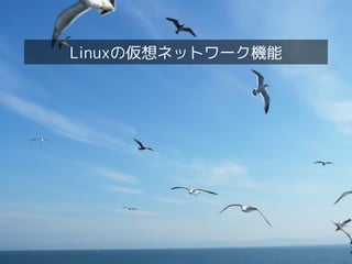 Linux女子部 KVM勉強会！




                 Linuxの仮想ネットワーク機能




16
 
