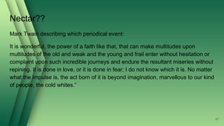 Nectar??
Mark Twain describing which periodical event:
It is wonderful, the power of a faith like that, that can make multitudes upon
multitudes of the old and weak and the young and frail enter without hesitation or
complaint upon such incredible journeys and endure the resultant miseries without
repining. It is done in love, or it is done in fear; I do not know which it is. No matter
what the impulse is, the act born of it is beyond imagination, marvellous to our kind
of people, the cold whites.”
47
 