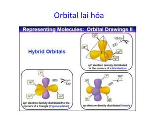 Orbital lai hóa 
 