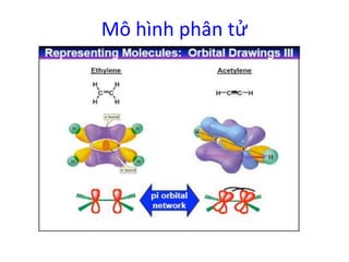 Mô hình phân tử 
 