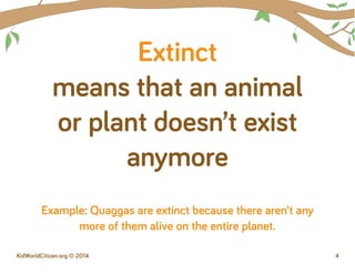 Endangered Species Unit: Introduction to Three Endangered Primates | PDF