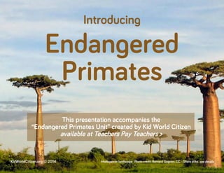 Introducing
This presentation accompanies the
“Endangered Primates Unit” created by Kid World Citizen
available at Teachers Pay Teachers >
Endangered
Madagascar landscape. Photo credit: Bernard Gagnon. CC - Share alike. see detailsKidWorldCitizen.org © 2014
Primates
 