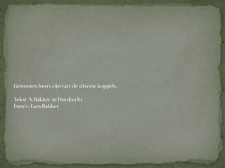 Kweekverslag barmsijs