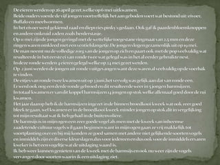 Kweekverslag barmsijs