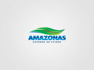Criação do Portal do Governo do Amazonas
