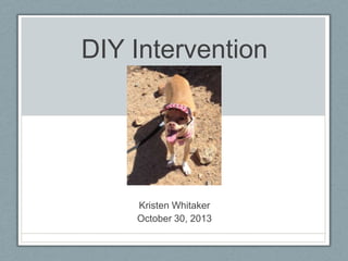 DIY Intervention

Kristen Whitaker
October 30, 2013

 