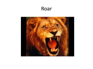 Roar
 