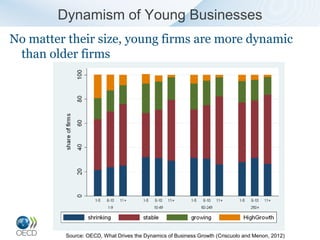 Dynamism of Young Businesses
No matter their size, young firms are more dynamic
 than older firms




         Source: OECD, What Drives the Dynamics of Business Growth (Criscuolo and Menon, 2012)
 