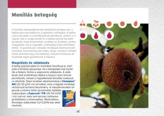 12
A moníliás betegségének két különböző kórképe van, a
hajtáscsúcs hervadása és a gyümölcs rothadása. A hajtás-
csúcs hervadás a csonthéjasoknál jelentkezik, amikor a vi-
rágzás után a virágcsomók és a hajtáscsúcsok hervadni
kezdenek, majd elszáradnak. Azokban az években, amikor
virágzáskor sok a csapadék, a betegség óriási méreteket
ölthet. A gyümölcsös rothadás mindegyik növénynél elő-
fordulhat, koncentrikus kör alakú, sárga, növekvő rothadó
foltok jelennek meg a terméseken, melyek érintkezve át-
terjednek egyik gyümölcsről a másikra.
Megelőzés és védekezés
A beteg gyümölcsöket és múmiákat távolítsuk el, mert
ezek a fertőzés gócpontjai. Ha a betegséget már észlel-
tük a fánkon, fontos a vegyszeres védekezés. A véde-
ke­zés első eredményes lépése a tavaszi rezes lemo­só
per­metezés, melyet a rügypikkelyek felnyílási szakaszá-
ra időzítsük. Ekkor kiválóan alkalmazhatjuk a Champion®
WG (20–30 g/10l víz) terméket, mely a legjobb minőségű
rézhidroxid tartalmú készítmény. A második kezelést vé-
gezzük a növény fehér-pirosbimbós fejlődési
szakaszában a Cuproxat®
FW (40–50 ml/10
l víz) szerrel, mely nem perzsel, hatóanya-
ga kíméletes a növényekhez. Rézérzékeny
fenológiai stádiumban 0,2–0,25%-ban alkal-
mazható.
Moníliás betegség
 