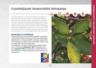 GYÜMÖLCS—szőlőBogyósok,Csonthéjasok,Almástermésűek
13
A gomba főként a cseresznyét betegíti meg. Május vé-
gén, június elején apró, liláspiros, elmosódott foltok
jelennek meg a levelek színén, a fonákjukon pedig bar­-
násfehér, szögletes kiszögellések mutatkoznak. Főként
a korona alsó és belső részén terjed e betegség, a fertő-
zött levelek elsárgulnak és lehullnak. Súlyos megbetege-
dés esetén több a fákon a gyümölcs, mint a levél, így az
érés nem megfelelő. A gomba a lehullott leveleken telel
át, és tavasszal a szél segítségével jut a fiatal levelekre.
Megelőzés és védekezés
Ősszel gyűjtsük össze a lehullott leveleket vagy dolgoz-
zuk be őket a talajba, illetve gombaölős permetezéssel
védekezzünk a virágzás végétől a szüretig, majd szüret
után még egy-két alkalommal. Csapadékos időben a leg-
veszélyesebb a járvány kialakulása.
A kezeléseket a virágzás végétől július végéig folytas-
suk a réztartalmú Champion®
WG (20–30 g/10 l víz)
és a Cuproxat®
FW (40–50 ml/10 l víz) készítménnyel.
Rézérzékeny fenológiai stádiumban 0,2-0,25%-ban al-
kalmazható.
Csonthéjasok blumeriellás betegsége
 
