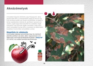 16
A leveleken kígyózó, körkörös vagy hólyagszerű akna­
járatot lehet látni, az aknajáratban pedig kis hernyó rág.
Erős fertőzés esetén sok levelet veszíthetünk. A lepkék a
kéreg repedéseiben telelnek át, áprilisban rajzanak a le-
velekre, saját maguk által készített kis zsebekbe rakják
tojásaikat. A kis hernyók rágják a leveleket, majd vatta-
szerű szövedéket hoznak létre a leveleken és alatta bebá-
bozódnak. Évente több nemzedékük is lehet.
Megelőzés és védekezés
A hernyókat, bábokat semmisítsük meg. Ha a kártevő
jelentős számban van jelen, akkor vegyszeresen is vé­-
dekezzünk a hernyók kártételének kezdetén a Strip-10®
(2-5 ml/10 l víz) vedlést beindító készítménnyel.
Aknázómolyok
 