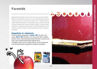 GYÜMÖLCS—szőlőBogyósok,Csonthéjasok,Almástermésűek
17
Megkülönböztetjük a kis farontót és nagy farontót. Mind-
kettő június-júliusban rajzik, de a kis faróntónál egyesével,
a nagy farontónál csoportosan helyezi el a nőstény a tojá-
sokat. Mindkét fajnak az a kártétele, hogy a kikelt hernyók
a fiatal hajtásokban keskeny já­ratot rágnak, aminek követ-
keztében a hajtások elhervadnak, majd elszáradnak. A be-
fúrások helyén ürülék és famorzsalék keveréke mutatja a
kártételt.
Megelőzés és védekezés
Kiváló biológiai megoldás az Artis®
WP (10 g/10 l víz),
vagy a Bora®
WP (10 g/10 l víz) a hernyók elleni védeke-
zéshez. Ezek a mikrobiológiai készítmények a rovarok szá-
mára olyan életkörülményeket alakítanak ki
a talajban, hogy mind a szaporodásuk, mind a károkozá-
suk rövid időn belül megszűnik a kezelést követően.
Farontók
 