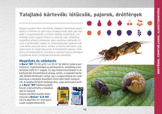 GYÜMÖLCS—szőlőBogyósok,Csonthéjasok,Almástermésűek
19
Nagyon gyakori kerti károsítók, ráadásul néhányuk (pajor,
lótetű) a mérete és igen nagy étvágya miatt akár pár nap
alatt is megtizedelheti a frissen ültetett palántákat, cse-
metéket ezért nagyon fontos az ellenük való, lehetőleg
megelőző jellegű védekezés. Igen veszélyes kártevők, hi-
szen a gyökereket rágják, és a károsításukat gyakran már
csak akkor vesszük észre, amikor a növény hervadni, szá-
radni kezd, és végül elpusztul. A tünetekből sokszor vízhi-
ányra következtetünk, azonban a növényt kiásva láthatjuk
a gyökerek körül a talajlakó kártevők jelenlétét.
Megelőzés és védekezés
A Bora®
WP (15–30 g/10 l víz 10 m2
területre) talajra per-
metezve, majd bedolgozva juttatandó ki, lehetőleg a pa-
lántázás előtt 5–7 nappal. Ez egy bioter­mesztésben is al-
kalmazható hozamfokozó anyag, amely a talajlakó kárte-
vők életkörülményeit rontja, így a szaporodásuk és a kár-
okozásuk a kezelést követően rövid időn belül megszű-
nik. A talajba történő bedolgozása, vagy bemosása javít-
ja a Bora®
WP hatékonyságát,
hiszen a készítmény a talajban
fejti ki hatását.
Súlyos kártétel esetén alkal-
mazzuk a Belem®
0,8 MG
(12-24 dkg/100 m2
) mikro­gra­
nulált talajfertőtlenítőt.
Talajlakó kártevők: lótücsök, pajorok, drótférgek
 