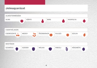 4
ALMástermésűek
CSONTHÉJASOK
bOGYÓSOK
ALMA KÖRTE BIRS NASPOLYA
Szamóca szeder málna ribizli köszméte
cseresznye meggy őszibarack Kajszi szilva
Jelmagyarázat
 