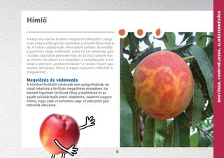 GYÜMÖLCS—szőlőBogyósok,Csonthéjasok,Almástermésűek
5
A kajszi és a szilva levelein megjelenő jellegzetes, sárga
vagy világoszöld gyűrűs rajzolatok a vírusfertőzés első je-
lei. A foltok szabályosak, elmosódott szélűek, és később
a gyümölcs héján is láthatók. Azon 1–2 cm átmérőjű, gyű-
rű alakú rajzolatok jelennek meg, és az első tünetek már
az éretlen termésen és a magokon is mutatkoznak. A fol-
tokat a köznyelv „párducmintának” is nevezi, hiszen egy
levélen, termésen, illetve a magon egyszerre több folt is
megjelenhet.
Megelőzés és védekezés
A hímlővel fertőzött növények nem gyógyíthatóak, de
sokat tehetünk a fertőzés megelőzése érdekében, ha
kiemelt figyelmet fordítunk főleg a levéltetvek és az
egyéb szívókártevők elleni védelemre, valamint nagyon
fontos, hogy csak vírusmentes vagy vírustesztelt gyü-
mölcsfát ültessünk.
Hímlő
 