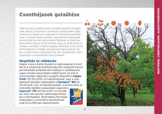 GYÜMÖLCS—szőlőBogyósok,Csonthéjasok,Almástermésűek
7
Több kórokozó (baktériumok, gombák) együttes megjele-
nése okozza. Elsősorban csonthéjas gyümölcsöket sújtja.
Tavasszal a rügyek nem hajtanak ki, bimbósak maradnak,
vagy a virágok megbarnulnak. A gyümölcsön besüppedt
barna foltok lesznek, deformáltan fejlődnek. A fiatal leve-
leken kerek, barnás foltok jelennek meg, az elhalt foltok ki-
hullnak a levélből. A foltok szegélye élénkzöld. A fás részek
fertőződésekor erőteljes mézgafolyás tapasztalható. Eb-
ben a stádiumban a betegség már nem gyógyítható, ezért
elsősorban a megelőzésére kell törekedni.
Megelőzés és védekezés
Vágjuk vissza a beteg részeket az egészségesig! A moní-
liás és a sztigminás levélfoltosság ellen elvégzett lemosó
permetezések anti­bakteriális hatással is rendelkeznek,
vagyis részben elpusztítják a baktériumot. Az első le-
mosó kezelést végezzük a nyugalmi állapottól a Copper
Field®
(25–90 ml/10 l víz) készítménnyel, vagy a rügy-
pikkelyek felnyílási szakaszában a Champion®
WG-vel
(20–30 g/10 l víz). A második kezelést a növény fehér-pi-
rosbimbós fejlődési szakaszában végezzük a
Cuproxat®
FW (40–50 ml/10 l víz) termék-
kel, mely nem perzsel, hatóanyaga kíméle-
tes a növényekhez. Rézérzékeny fenológiai
stádiumban a réztartalmú készítmények
csak 0,2–0,25%-ban alkalmazhatók.
Csonthéjasok gutaütése
 