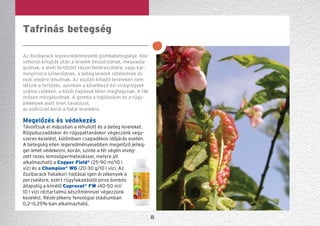 8
Az őszibarack legveszedelmesebb gombabetegsége. Köz-
vetlenül kihajtás után a levelek besodródnak, megvasta-
godnak, a levél fertőzött részei fehéreszöldre, vagy kár-
minpirosra színeződnek, a beteg levelek sötétednek és
nyár elejére lehullnak. Az ezután kihajtó leveleken nem
látszik a fertőzés, azonban a következő évi virágrügyek
száma csökken, a késői hajtások télen megfagynak. A fák
erősen mézgásodnak. A gomba a hajtásokon és a rügy-
pikkelyek alatt telel, tavasszal,
az esővízzel kerül a fiatal levelekre.
Megelőzés és védekezés
Távolítsuk el májusban a lehullott és a beteg levele­ket.
Rügyduzzadáskor és rügypattanáskor végezzünk vegy-
szeres kezelést, különösen csapadékos időjárás esetén.
A betegség ellen legeredményesebben megelőző jel­leg­
gel lehet védekezni, korán, szinte a tél végén elvég­-
zett rezes lemosópermetezéssel, melyre jól
alkalmaz­ható a Copper Field®
(25-90 ml/10 l
víz) és a Cham­pion®
WG (20-30 g/10 l víz). Az
őszibarack fiatalkori hajtásai igen érzékenyek a
perzselésre, ezért rügyfakadástól piros bimbós
állapotig a kímélő Cuproxat®
FW (40-50 ml/
10 l víz) réztartalmú készítménnyel végezzünk
kezelést. Rézérzékeny fenológiai stádiumban
0,2–0,25%-ban alkalmazható.
Tafrinás betegség
 