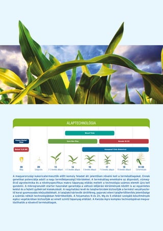 ALAPTECHNOLÓGIA
A magyarországi kukoricatermesztők előtt komoly feladat áll: jelentősen növelni kell a termésátlagokat. Ennek
genetikai potenciálja adott a nagy termőképességű hibridekkel. A termésátlag emelésére az átgondolt, vízmeg-
őrző agrotechnika és a növényspecifikus makro tápanyag ellátás mellett a technológia számos elemét újra kell
gondolni. A mikrogranulált starter használat garantálja a változó időjárási körülmények között is az egyenletes
kelést és a fejlett gyökérzet kialakulását. A nagyhatású levél és talajherbicidek biztosítják a termést veszélyezte-
tő korai gyomosodás kiküszöbölését. A talajlakó kártevők (drótféreg, pajorok) elleni talajfertőtlenítés jelentősége
a szántás nélküli technológiákban felértékelődik. A folyamatos N és Zn, Mg és S ellátást szolgáló készítmények
egész vegetációban biztosítják az emelt szintű tápanyag ellátást. A Kwizda Agro komplex technológiáival megva-
lósíthatók a növekvő termésátlagok.
00
Mag
09
Szögcsíra
13
2-3 leveles állapot
14
4-5 leveles állapot
16
6 leveles állapot
17
7-8 leveles állapot
18
10 leveles állapot
51-59
Címerhányás
Belem®
0,8 MG Azospeed®
Cink (Kukorica)
Pannon Starter®
Mega
Corn Box Plus Korado 10 CS
Wuxal®
Cink
 