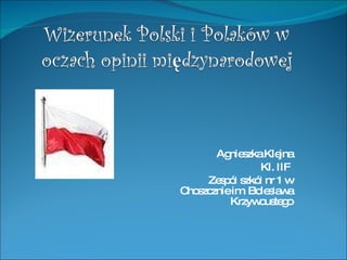 Agnieszka Klejna Kl. IIF  Zespół szkół nr 1 w Choszcznie im. Bolesława Krzywoustego 