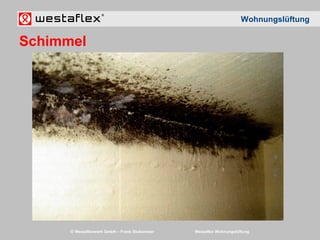 © Westaflexwerk GmbH – Frank Stukemeier Westaflex Wohnungslüftung
Wohnungslüftung
Schimmel
 