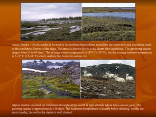 Arctic Tundra = Arctic tundra is located in the northern hemisphere, encircling the north pole and extending south
to the coniferous forests of the taiga. The arctic is known for its cold, desert-like conditions. The growing season
ranges from 50 to 60 days. The average winter temperature is -34° C (-30° F), but the average summer temperature
is 3-12° C (37-54° F) which enables this biome to sustain life.
Alpine tundra is located on mountains throughout the world at high altitude where trees cannot grow. The
growing season is approximately 180 days. The nighttime temperature is usually below freezing. Unlike the
arctic tundra, the soil in the alpine is well drained.
 