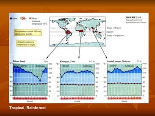 Tropical, Rainforest
 