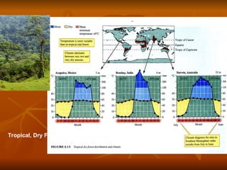 Tropical, Dry Forest
 