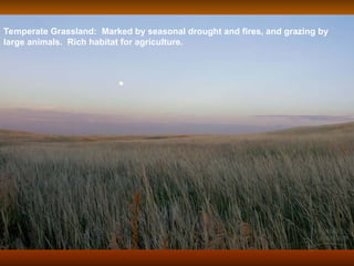 Temperate Grassland: Marked by seasonal drought and fires, and grazing by
large animals. Rich habitat for agriculture.
 