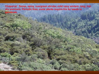 Chaparral: Dense, spiny, evergreen shrubs, mild rainy winters; long, hot,
dry summers. Periodic fires, some plants require fire for seeds to
germinate.
 