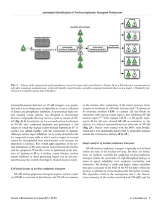 immunofluorescent detection of NF-κB transport was quanti-
fied with a novel image analysis algorithm to screen a collection
of kinase and phosphatase inhibitors. A symmetrical high-con-
tent imaging screen scheme was designed to discriminate
between compounds affecting nuclear export or import of NF-
κB (Fig. 1). In this scheme, we 1st screened nuclear localization
of NF-κB after compound treatment and performed a 2nd
screen in which the nuclear export blocker leptomycin B19
(5
ng/mL) was added together with the compounds in parallel.
Although nuclear export inhibitors can be easily identified in the
1st compound screen, cells in which nuclear import is arrested
cannot be distinguished from mock-treated cells because the
phenotype is identical. This would apply regardless of the nor-
mal distribution of the transcription factor between the nucleus
and the cytoplasm. When the screen is performed in the pres-
ence of leptomycin B as a nuclear export blocker, nuclear
import inhibitors or those promoting import can be discrimi-
nated because the control phenotype is blocked nuclear export.
Cell-based assays of nucleocytoplasmic transport
NF-κB nucleocytoplasmic transport requires nuclear export
via CRM1 to maintain its distribution, and NF-κB accumulates
in the nucleus after stimulation of the tumor necrosis factor
receptor or treatment of cells with leptomycin B.25
Leptomycin
B covalently modifies CRM1 at cysteine 528 and blocks its
interaction with nuclear export signals, thus inhibiting NF-κB
nuclear export.19,26
Cells treated with 0.1 to 20 ng/mL lepto-
mycin B for 40 min showed NF-κB accumulation in the
nucleus via indirect immunofluorescent detection of NF-κB
(Fig. 2A). Nuclei were stained with the DNA stain DraQ5,
which gave well-demarcated nuclei with no detectable staining
outside the extranuclear staining (Fig. 2A).
Image analysis of nucleocytoplasmic transport
NF-κB nucleocytoplasmic transport is spatially well defined
within the rims of the nuclear envelope, but there are limita-
tions on methods available for analyzing nucleocytoplasmic
transport within the constraints of high-throughput biology in
terms of speed, reliability, cost, academic availability, and
robustness. We devised a stable and highly robust algorithm
that gave a measure of the level of the NF-κB label within the
nucleus, as defined by co-localization with the nuclear staining.
The algorithm relied on the assumptions that 1) the fluores-
cence intensity of the nucleus (stained with DRAQ5) and the
Automated Identification of Nucleocytoplasmic Transport Modulators
Journal of Biomolecular Screening XX(X); XXXX www.sbsonline.org 3
FIG. 1. Scheme of the symmetrical nucleocytoplasmic screen for import and export blockers. Nuclear factor κ B localization was measured in
cells after compound treatment alone, which will identify export blockers, and after compound treatment when nuclear export is blocked by lep-
tomycin B to identify nuclear import blockers.
 