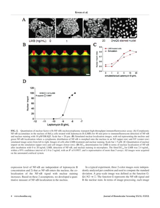 expression level of NF-κB are independent of leptomycin B
concentration and 2) that as NF-κB enters the nucleus, the co-
localization of the NF-κB signal with nuclear staining
increases. Based on these 2 assumptions, we developed a quan-
titative measure of NF-κB localization in the nucleus.
In a typical experiment, three 2-color images were indepen-
dently analyzed per condition and used to compute the standard
deviation. A gray-scale image was defined as the function G:
Ω⊂N2 →→ !. The function G represents the NF-κB signal and
R the nuclear stain. In terms of image processing, each image
Kwon et al.
4 www.sbsonline.org Journal of Biomolecular Screening XX(X); XXXX
FIG. 2. Quantitation of nuclear factor κ B (NF-κB) nucleocytoplasmic transport high-throughput immunofluorescence assay. (A) Cytoplasmic
NF-κB accumulates in the nucleus of HeLa cells treated with leptomycin B (LMB) for 40 min prior to immunofluorescent detection of NF-κB
and nuclear staining with 10 µM DRAQ5. Scale bar = 20 µm. (B) Simulated nuclear localization images, with red representing the nucleus and
green NF-κB localization where a cytoplasmic distribution of NF-κB is morphed onto the nucleus in an XZ (upper row) and XY (center row)
simulated image series from left to right. Images of cells after LMB treatment and nuclear staining. Scale bar = 5 µM. (C) Quantitation of nuclear
import on the simulation (upper row) and cell images (lower row). (D) EC50 determination for LMB in terms of nuclear localization of NF-κB
after incubation with 0 to 20 ng/mL LMB, detection of NF-κB, and nuclear staining in microplates. The fitted EC50 for LMB was 2.4 ng/mL,
within a 95% confidence interval of 1.9 to 3 ng/mL with an R2
of 0.9957, and is representative of more than 5 assays. All images were acquired
on the automated confocal system.
 