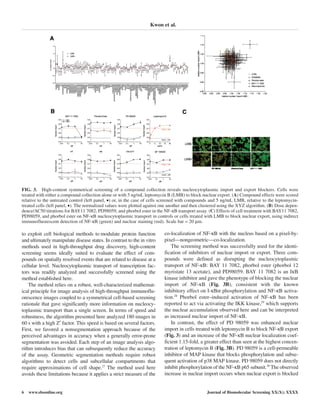 to exploit cell biological methods to modulate protein function
and ultimately manipulate disease states. In contrast to the in vitro
methods used in high-throughput drug discovery, high-content
screening seems ideally suited to evaluate the effect of com-
pounds on spatially resolved events that are related to disease at a
cellular level. Nucleocytoplasmic transport of transcription fac-
tors was readily analyzed and successfully screened using the
method established here.
The method relies on a robust, well-characterized mathemat-
ical principle for image analysis of high-throughput immunoflu-
orescence images coupled to a symmetrical cell-based screening
rationale that gave significantly more information on nucleocy-
toplasmic transport than a single screen. In terms of speed and
robustness, the algorithm presented here analyzed 180 images in
60 s with a high Z′ factor. This speed is based on several factors.
First, we favored a nonsegmentation approach because of the
perceived advantages in accuracy when a generally error-prone
segmentation was avoided. Each step of an image analysis algo-
rithm introduces bias that can subsequently reduce the accuracy
of the assay. Geometric segmentation methods require robust
algorithms to detect cells and subcellular compartments that
require approximations of cell shape.27
The method used here
avoids these limitations because it applies a strict measure of the
co-localization of NF-κB with the nucleus based on a pixel-by-
pixel—nongeometric—co-localization.
The screening method was successfully used for the identi-
fication of inhibitors of nuclear import or export. Three com-
pounds were defined as disrupting the nucleocytoplasmic
transport of NF-κB: BAY 11 7082, phorbol ester (phorbol 12
myristate 13 acetate), and PD98059. BAY 11 7082 is an IκB
kinase inhibitor and gave the phenotype of blocking the nuclear
import of NF-κB (Fig. 3B), consistent with the known
inhibitory effect on I-κBα phosphorylation and NF-κB activa-
tion.28
Phorbol ester–induced activation of NF-κB has been
reported to act via activating the IKK kinase,29
which supports
the nuclear accumulation observed here and can be interpreted
as increased nuclear import of NF-κB.
In contrast, the effect of PD 98059 was enhanced nuclear
import in cells treated with leptomycin B to block NF-κB export
(Fig. 3) and an increase of the NF-κB nuclear localization coef-
ficient 1.15-fold, a greater effect than seen at the highest concen-
tration of leptomycin B (Fig. 3B). PD 98059 is a cell-permeable
inhibitor of MAP kinase that blocks phosphorylation and subse-
quent activation of p38 MAP kinase. PD 98059 does not directly
inhibit phosphorylation of the NF-κB p65 subunit.30
The observed
increase in nuclear import occurs when nuclear export is blocked
Kwon et al.
6 www.sbsonline.org Journal of Biomolecular Screening XX(X); XXXX
FIG. 3. High-content symmetrical screening of a compound collection reveals nucleocytoplasmic import and export blockers. Cells were
treated with either a compound collection alone or with 5 ng/mL leptomycin B (LMB) to block nuclear export. (A) Compound effects were scored
relative to the untreated control (left panel, •) or, in the case of cells screened with compounds and 5 ng/mL LMB, relative to the leptomycin-
treated cells (left panel, •). The normalized values were plotted against one another and then clustered using the XYZ algorithm. (B) Dose depen-
dence/AC50 titrations for BAY11 7082, PD98059, and phorbol ester in the NF-κB transport assay. (C) Effects of cell treatment with BAY11 7082,
PD98059, and phorbol ester on NF-κB nucleocytoplasmic transport in controls or cells treated with LMB to block nuclear export, using indirect
immunofluorescent detection of NF-κB (green) and nuclear staining (red). Scale bar = 20 µm.
 