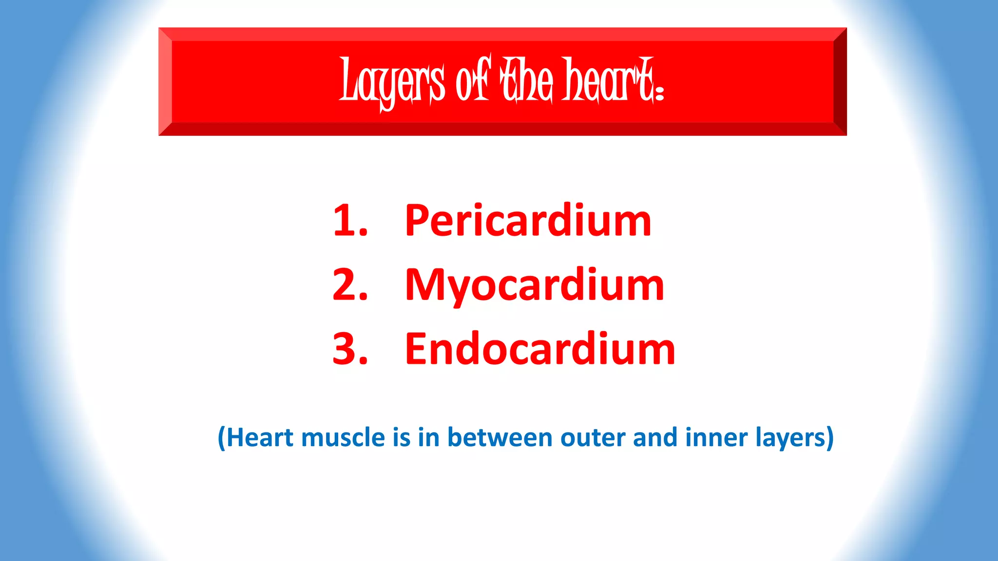 Layers of the heart:
1. Pericardium
2. Myocardium
3. Endocardium
(Heart muscle is in between outer and inner layers)
 