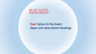 HEART VALVES:
Four Valves in the heart.
Open and close (heart beating)
 