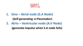 NODES:
1. Sino – Atrial node (S.A Node)
(Self generating Pacemaker)
2. Atrio – Ventricular node (A.V Node)
(generate impulse when S.A node fails)
 