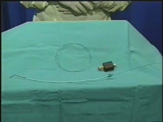 Johns Hopkins University
 