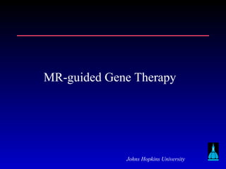 Johns Hopkins University
MR-guided Gene Therapy
 