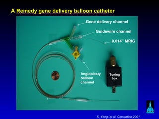 A Remedy gene delivery balloon catheter
Gene delivery channel
Angioplasty
balloon
channel
Guidewire channel
0.014” MRIG
Tuning
box
X. Yang, et al. Circulation 2001
 