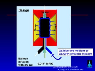 Johns Hopkins University
Design
Plaque
Plaque
Vessel
0.014” MRIG
Balloon
inflation
with 3% Gd
Gd/blue-dye medium or
Gd/GFP-lentivirus medium
X. Yang, et al. Circulation 2001
 