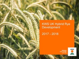 KWS UK Hybrid Rye
Development
2017 - 2018
 